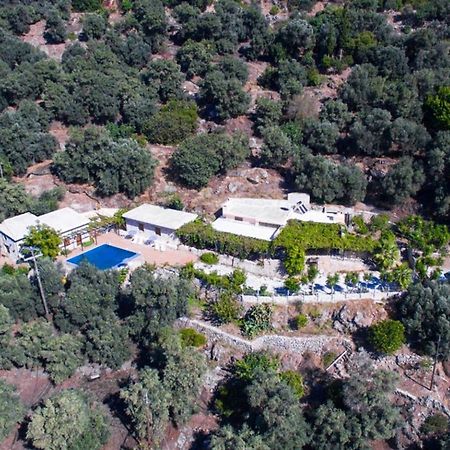Villa Talos ปาไลโอโกรา ภายนอก รูปภาพ